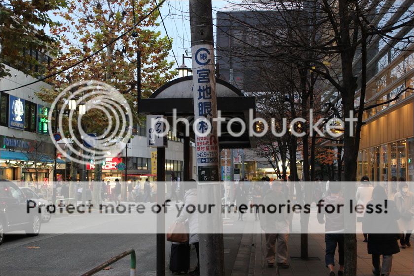 photo IMG_7020_zps3iiclqwh.jpg
