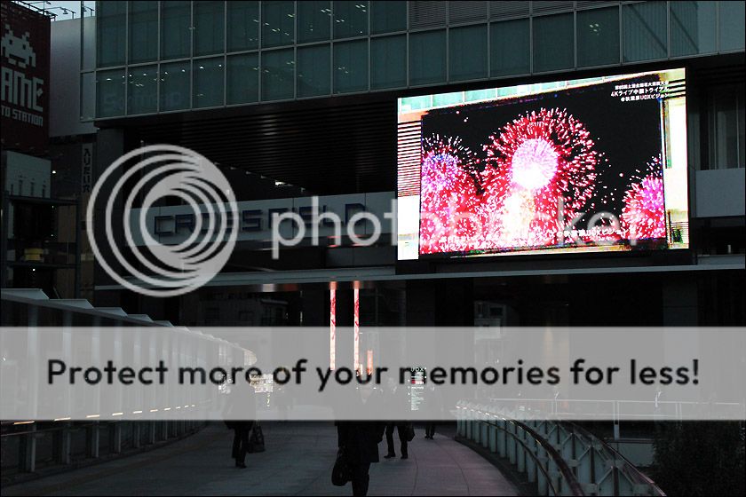 photo IMG_7341_zpselxmmfzh.jpg