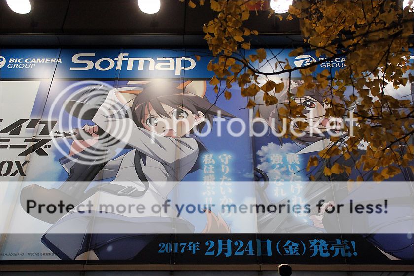 photo IMG_7357_zpsaoqlca7l.jpg