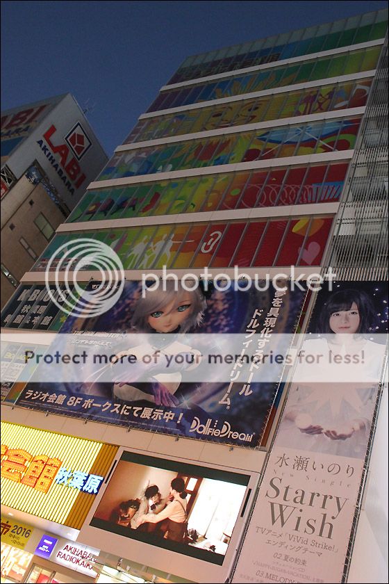 photo IMG_7362_zps7z55df4w.jpg