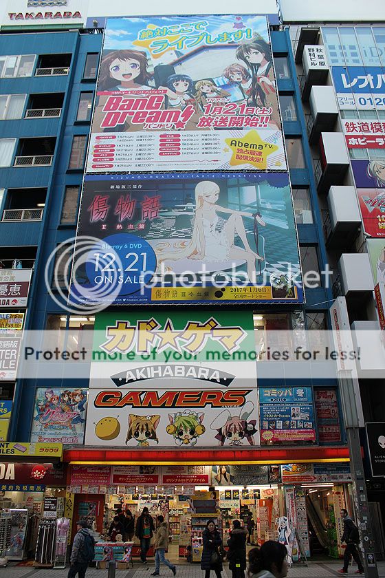 photo IMG_7410_zpswjwvl0f0.jpg