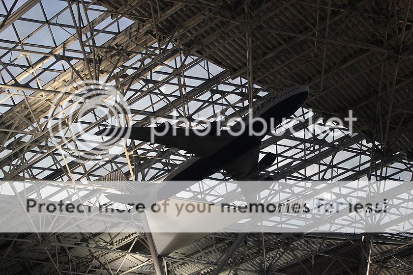  photo IMG_6616_zpspz6qfghy.jpg