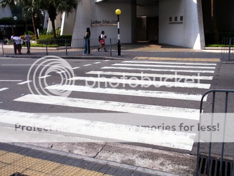 Zebra Crossing Photo by janechansh Photobucket