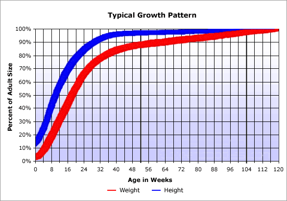 growth chart for labs part 1 lab health black labrador lab dog growth chart