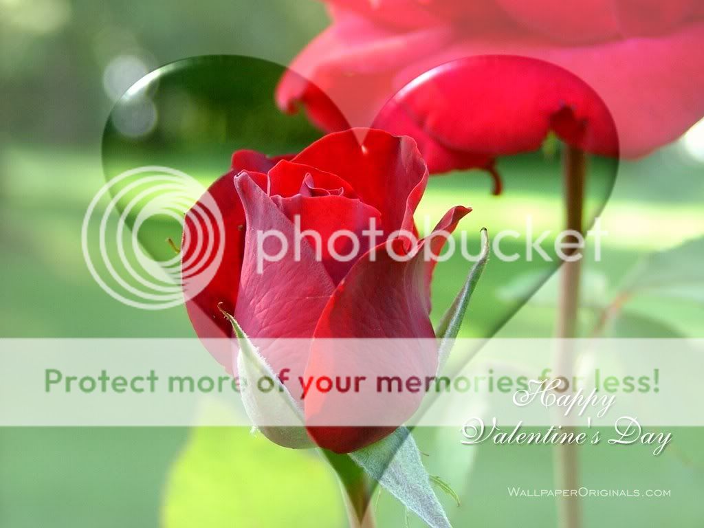ValentineWallpaper001.jpg