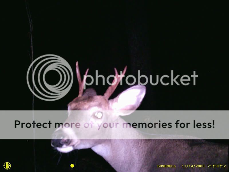 http://i489.photobucket.com/albums/rr257/johnson4x4/SUNP0002.jpg