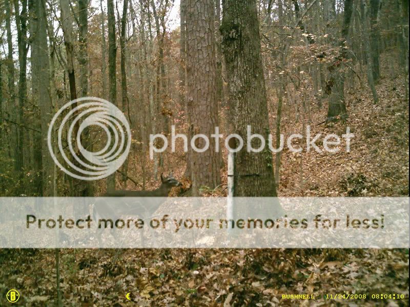 http://i489.photobucket.com/albums/rr257/johnson4x4/SUNP0007.jpg