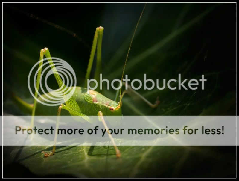 Fotografie