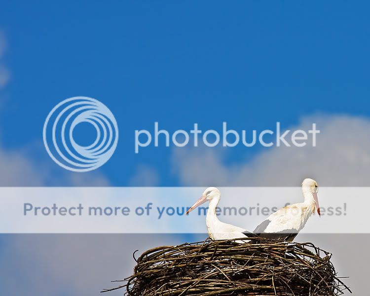 Fotografie