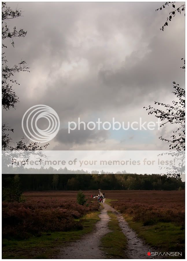 Fotografie