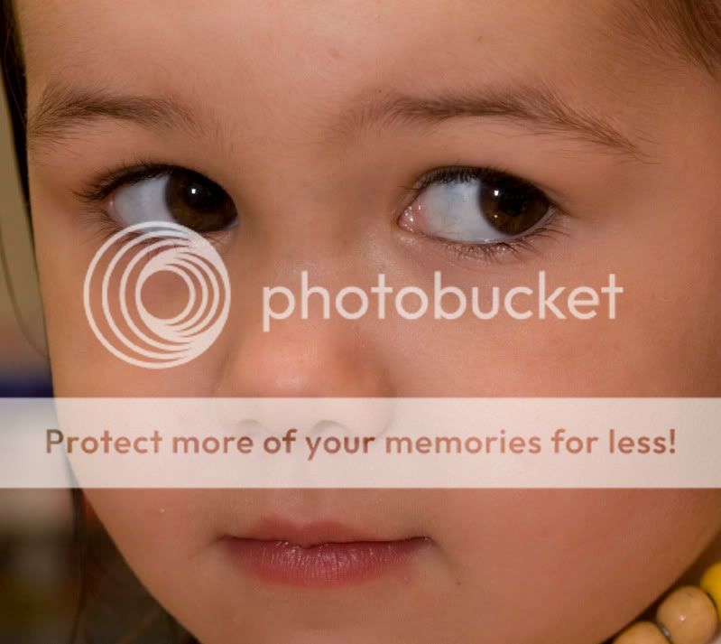 Fotografie