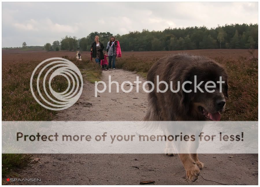 Fotografie