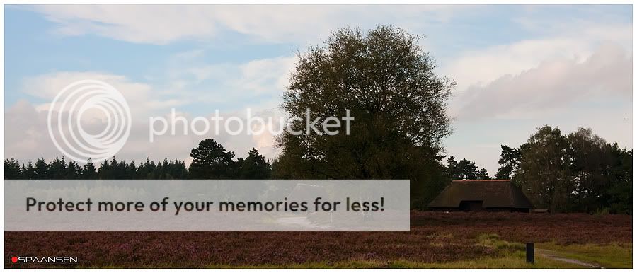 Fotografie
