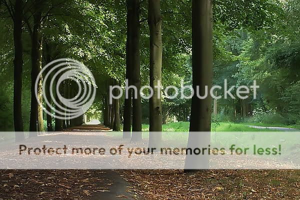 Fotografie