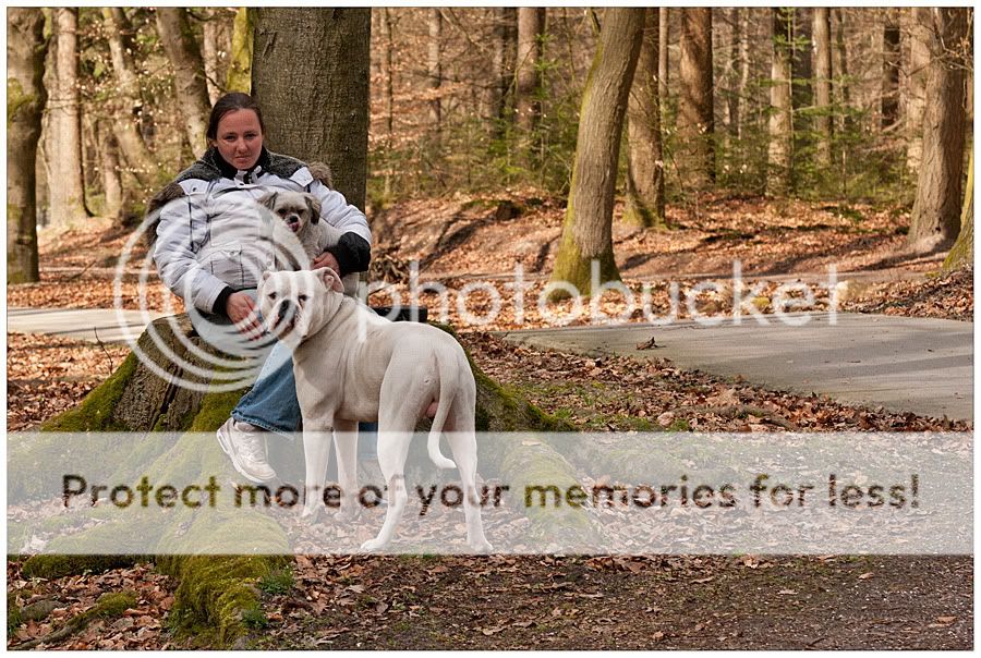Fotografie