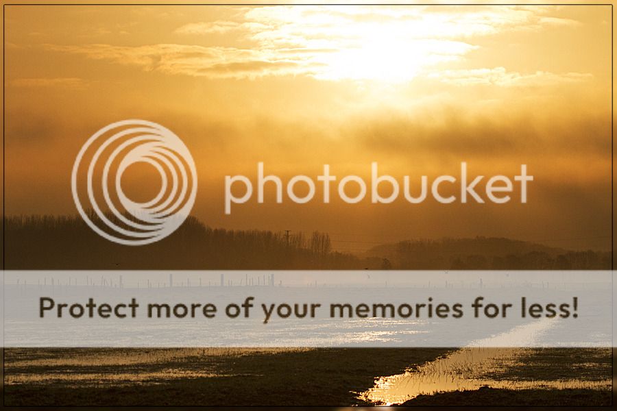 Fotografie