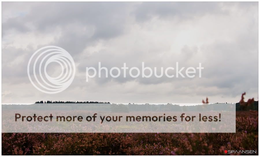 Fotografie