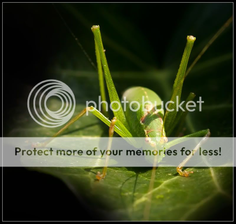 Fotografie
