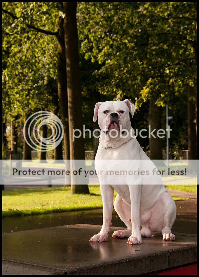 Fotografie