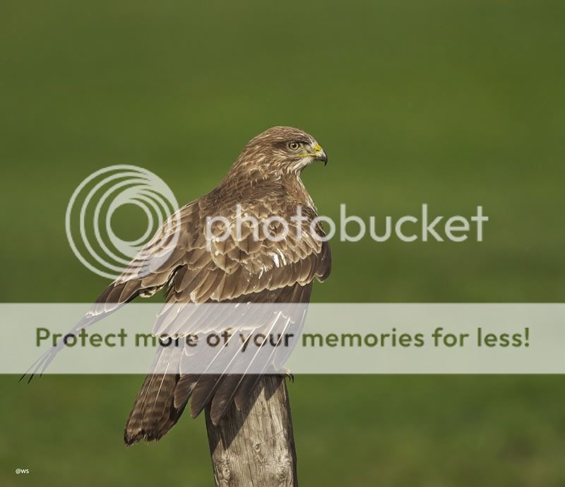 Fotografie