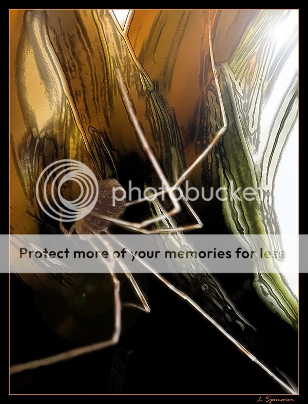 Fotografie