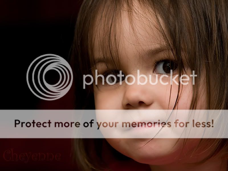 Fotografie