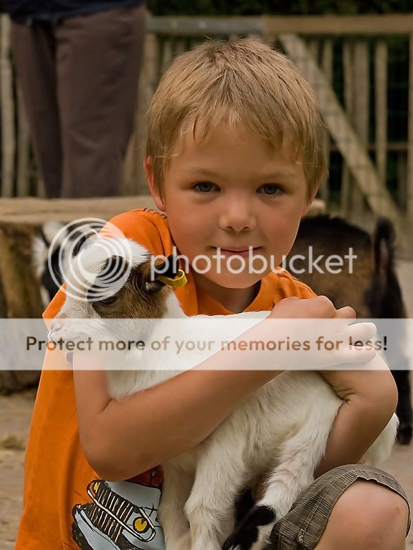 Fotografie