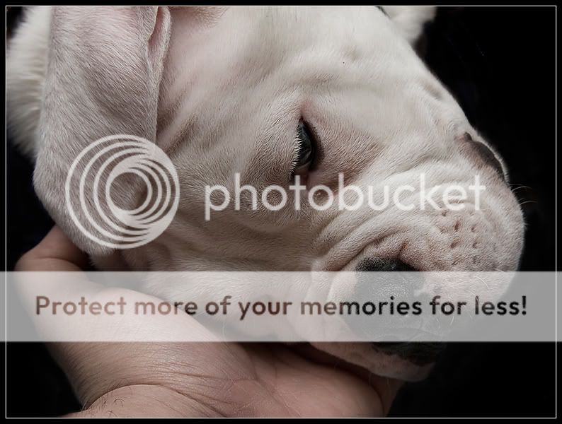 Fotografie