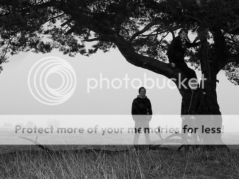 Fotografie