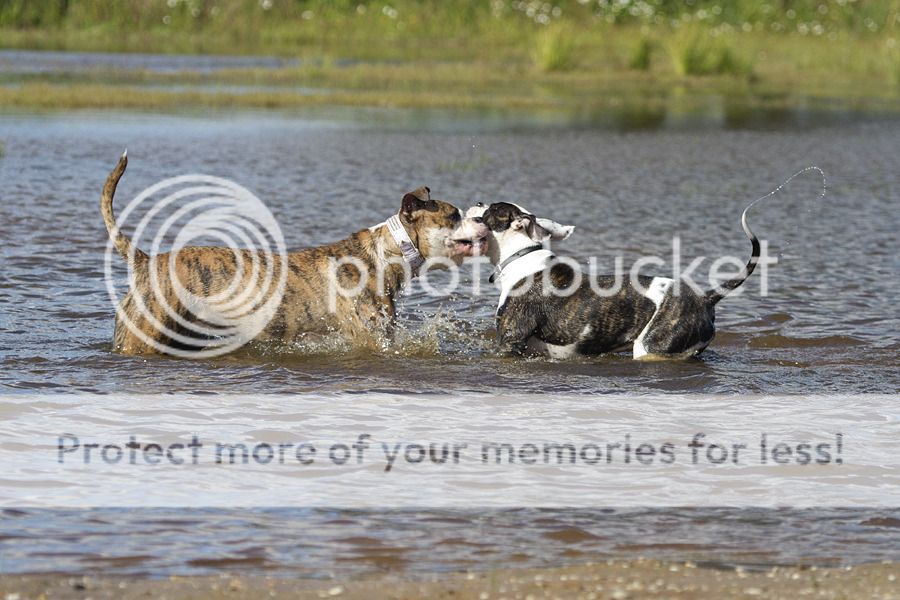 Fotografie