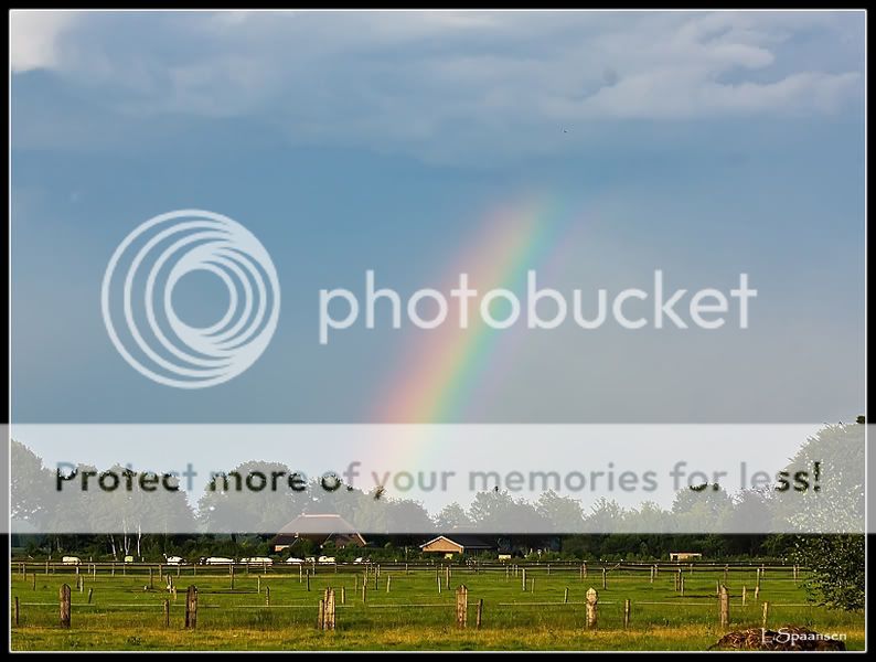 Fotografie