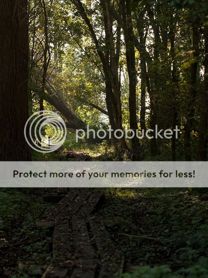 Fotografie