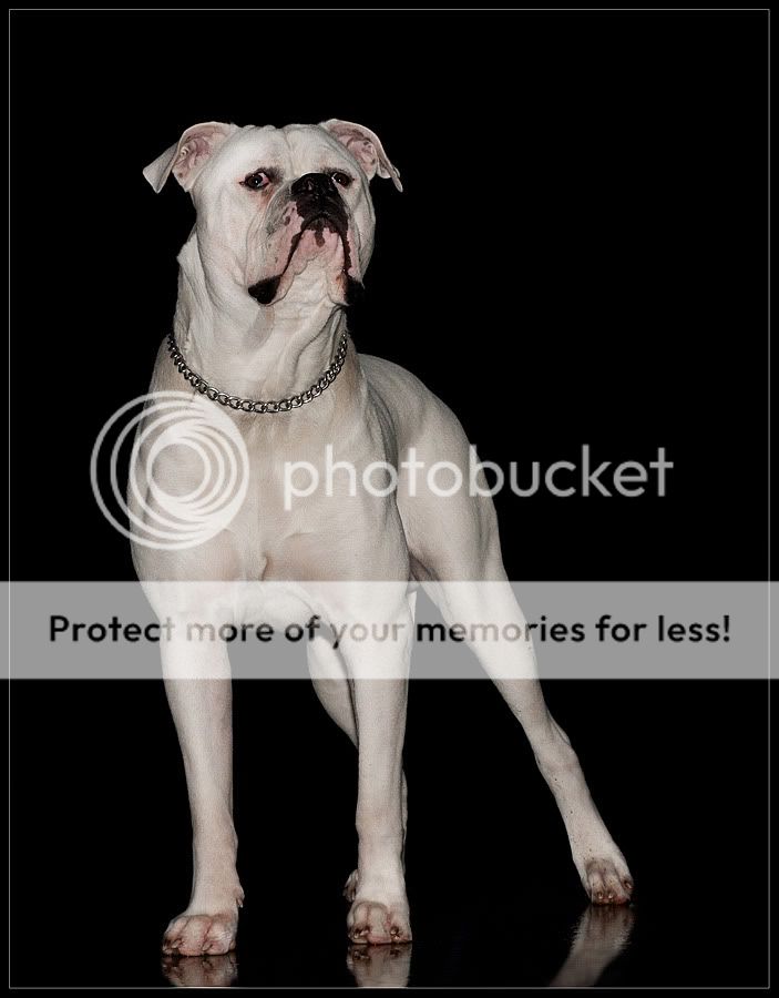Fotografie