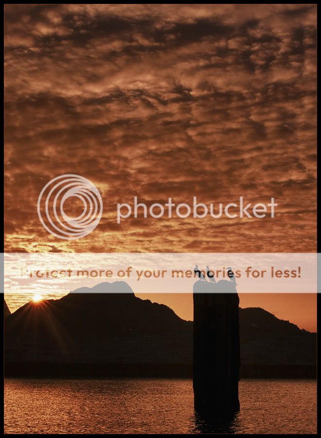 Fotografie