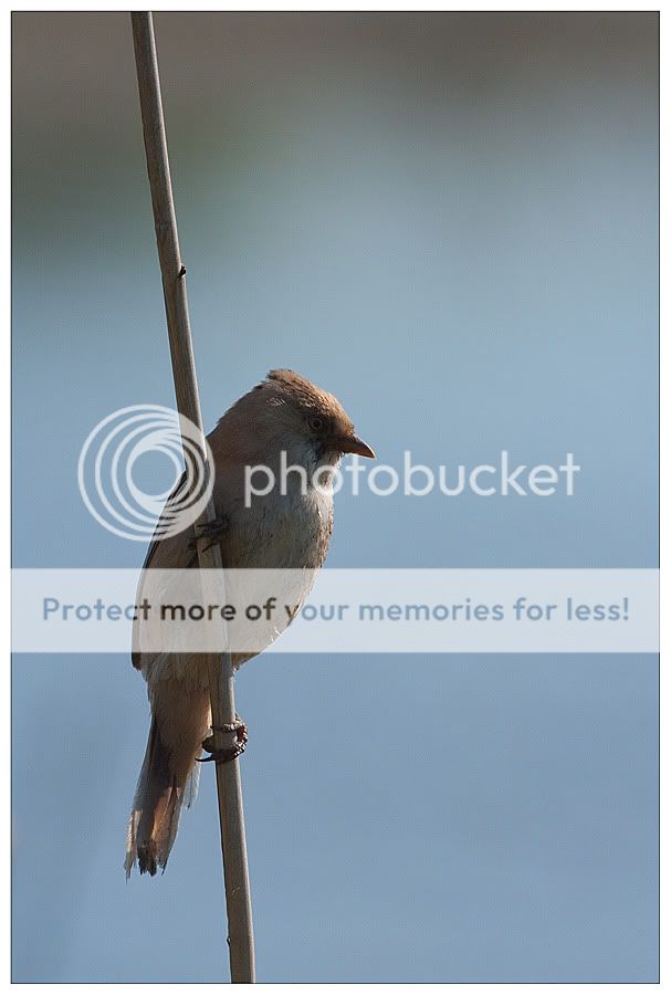 Fotografie