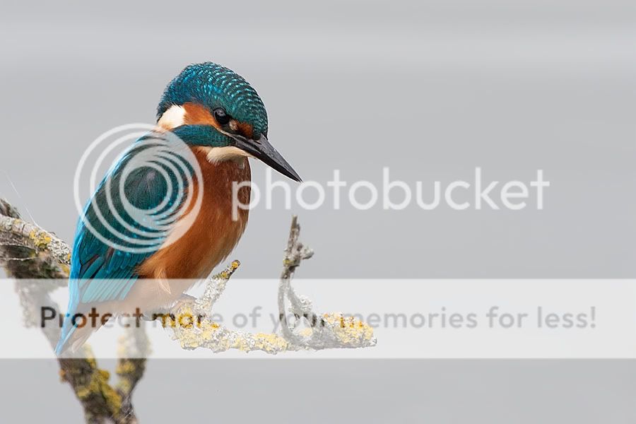 Fotografie