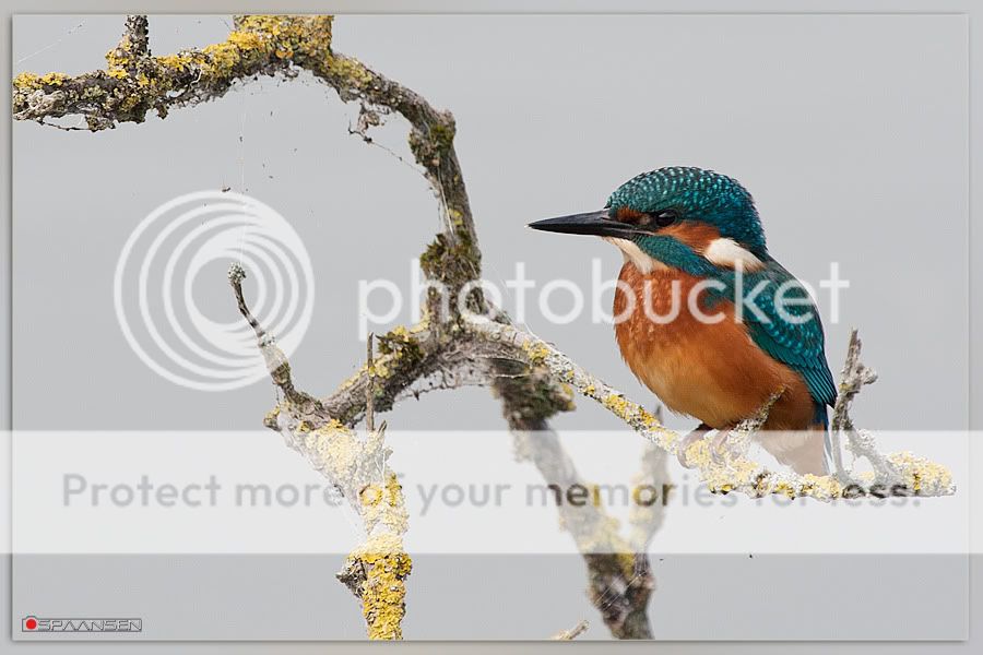 Fotografie