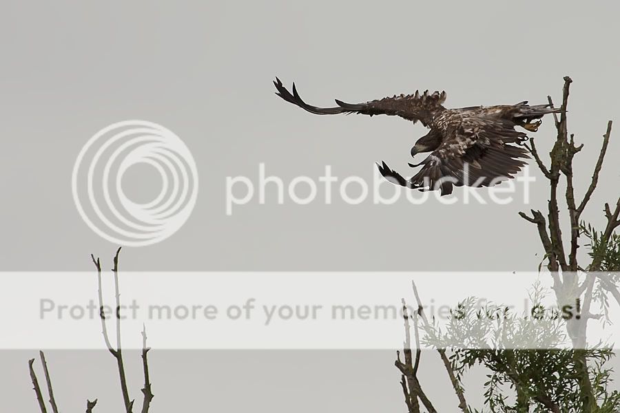 Fotografie