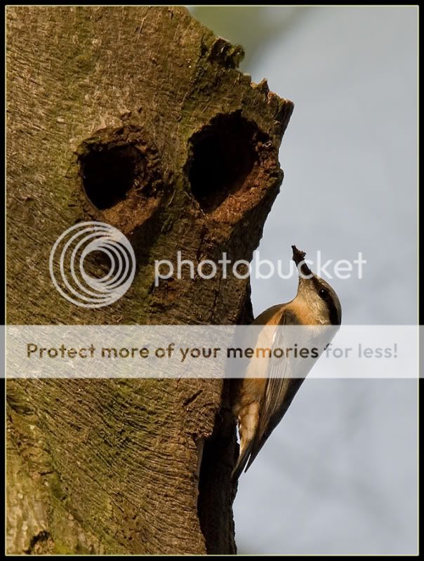 Fotografie