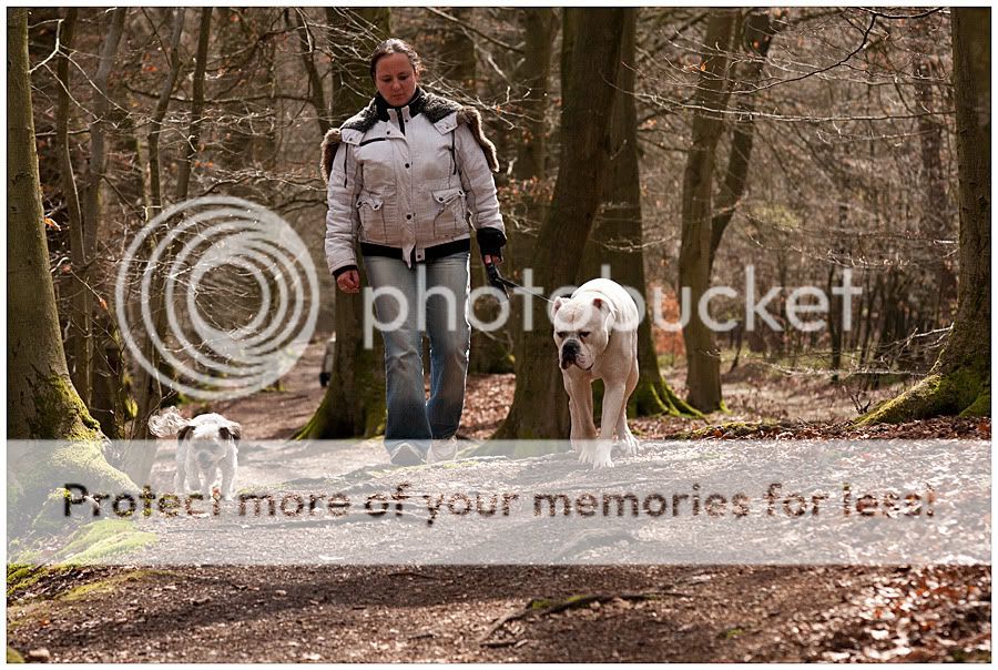 Fotografie