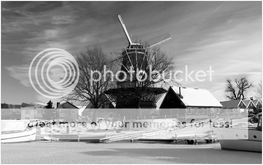 Fotografie