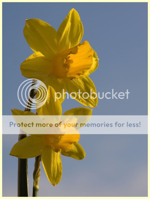 Fotografie