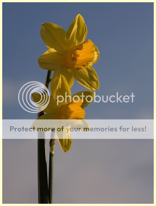 Fotografie