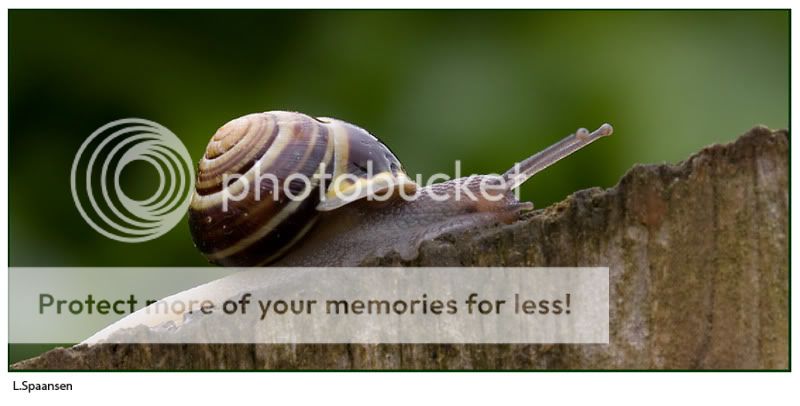 Fotografie