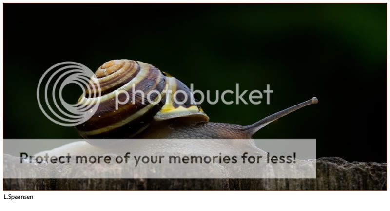Fotografie