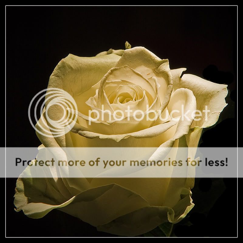 Fotografie