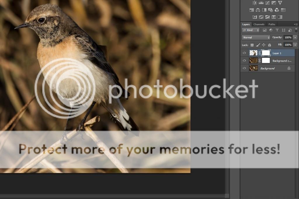 Fotografie