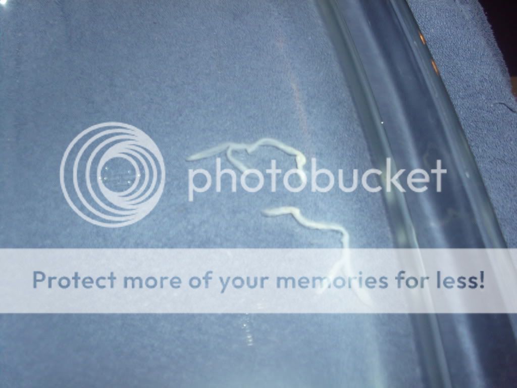 sperm in water nude male famous stars