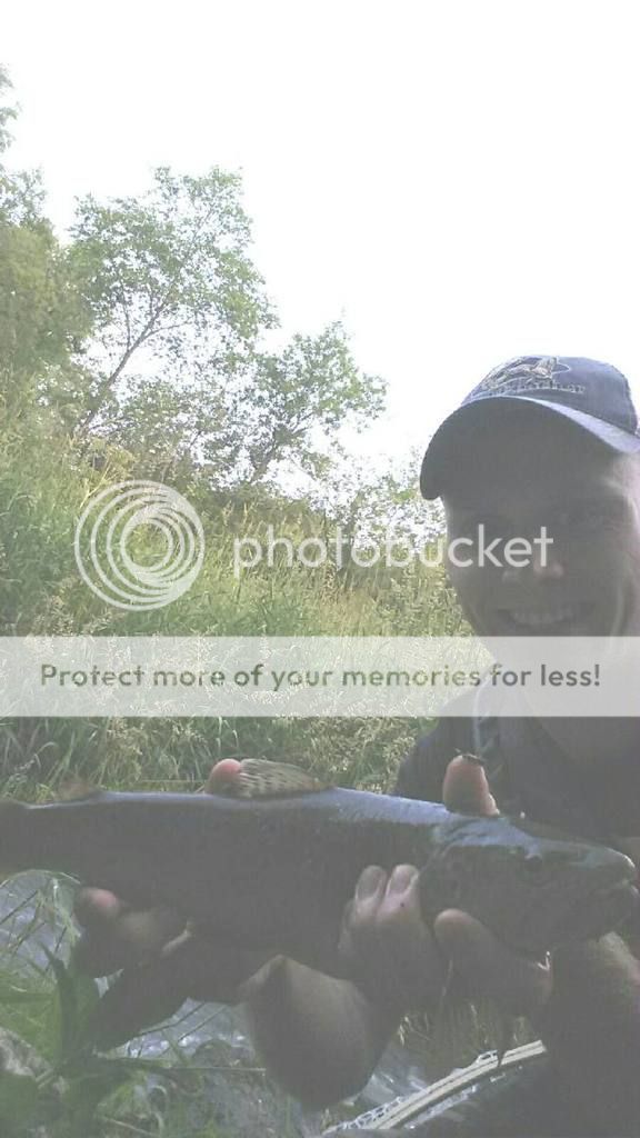 UserPostedImage