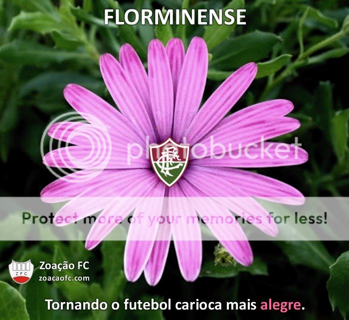 zoando zuando escudo símbolo fluminense florminense